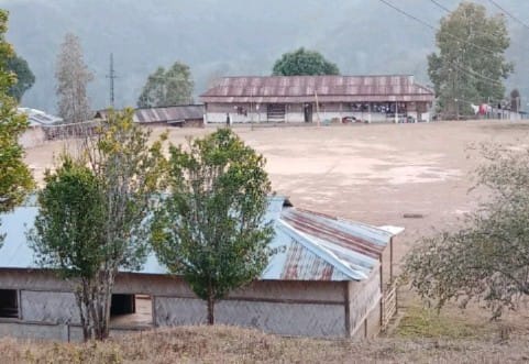 Primary school activity